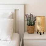 Apartamento Alva Park Sunny Near The