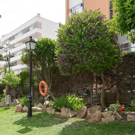 Alva Park Sunny Near The *